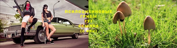 не бодяженный Балахна
