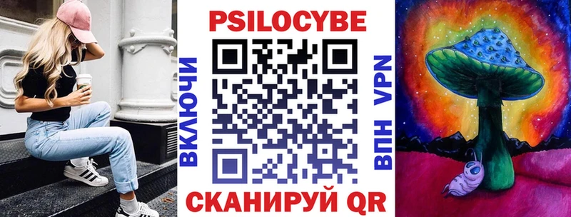мега как зайти  Шахты  Галлюциногенные грибы Psilocybine cubensis 